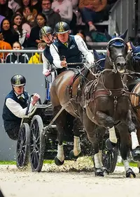Concours hippique international de Genève